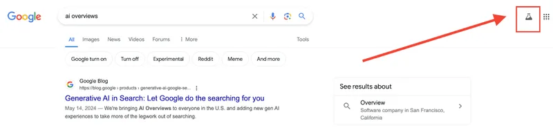 ai overviews google search