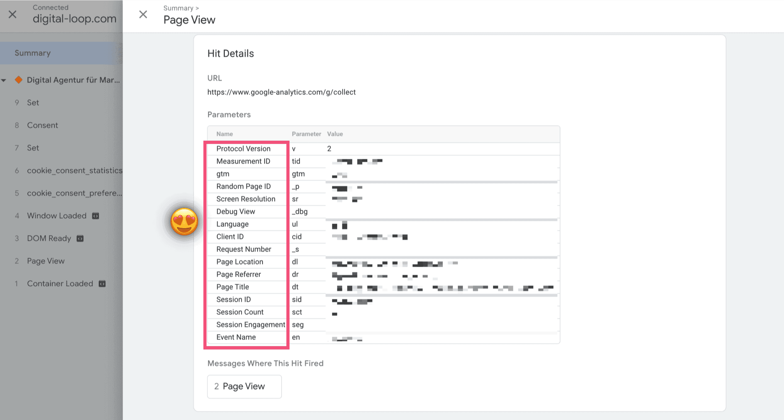 Tag Manager Page Views Hit Details 