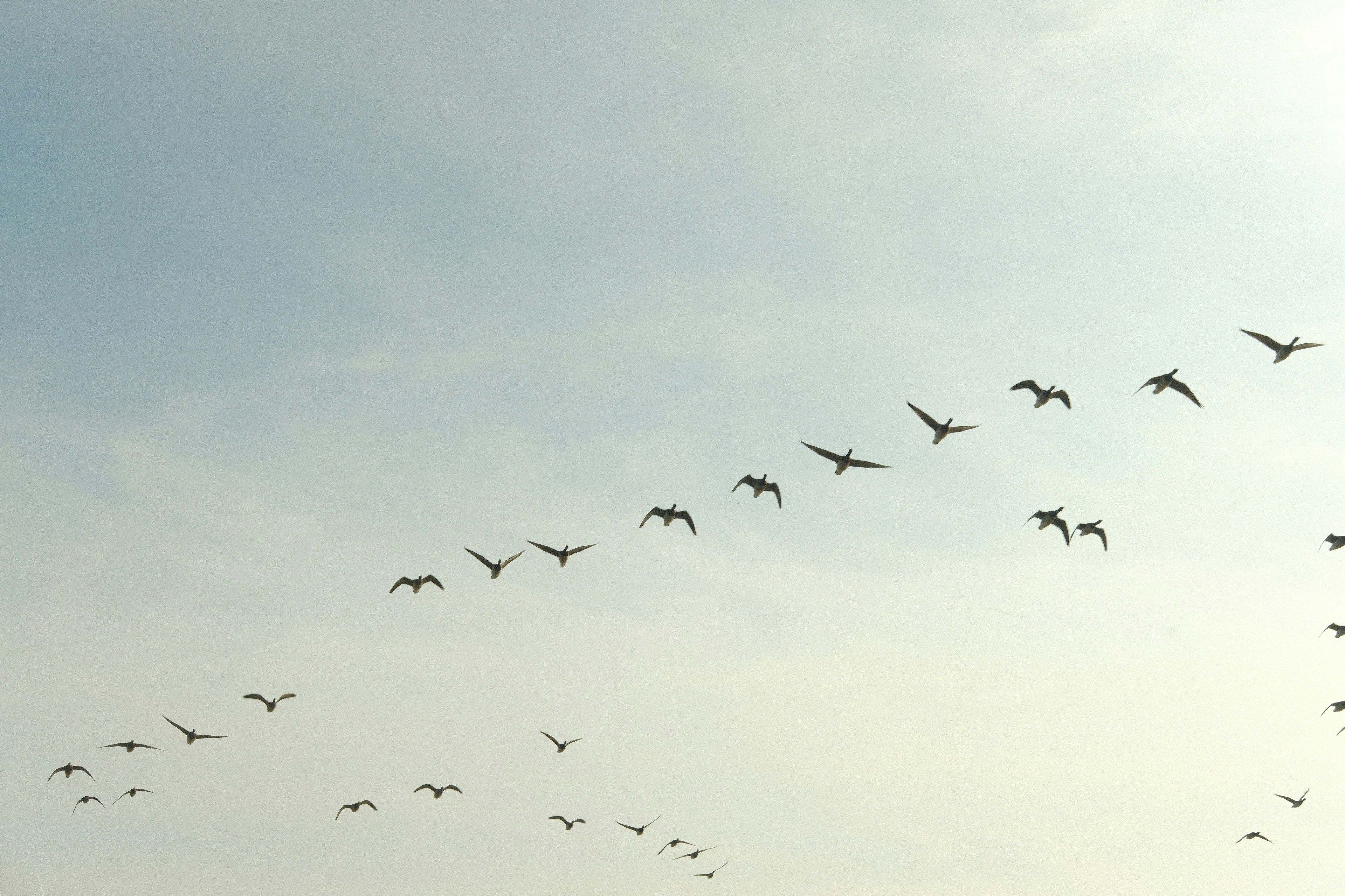 website-migration.jpg